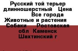 Русский той-терьер длинношерстный › Цена ­ 7 000 - Все города Животные и растения » Собаки   . Ростовская обл.,Каменск-Шахтинский г.